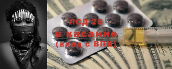 PSILOCYBIN Баксан
