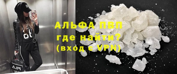 PSILOCYBIN Баксан